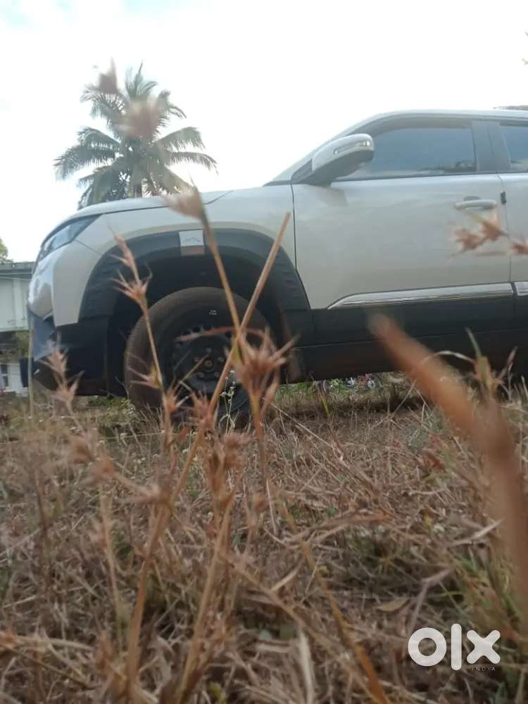 Maruti Suzuki Vitara Brezza 2025