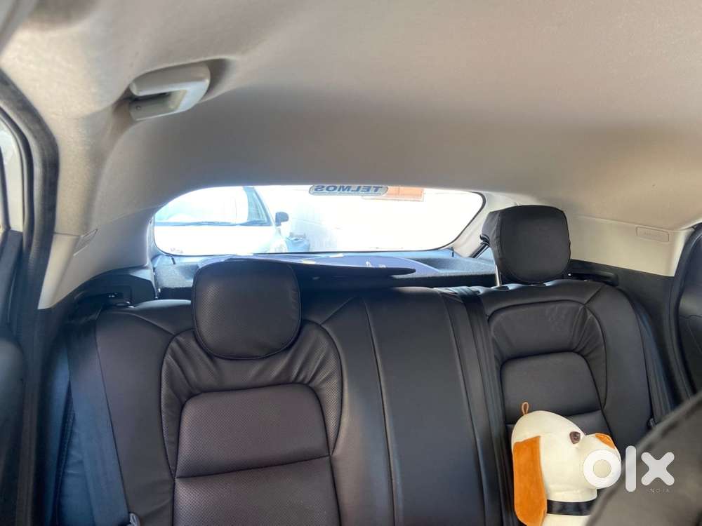 Tata Nexon 2024 Petrol Well Maintained