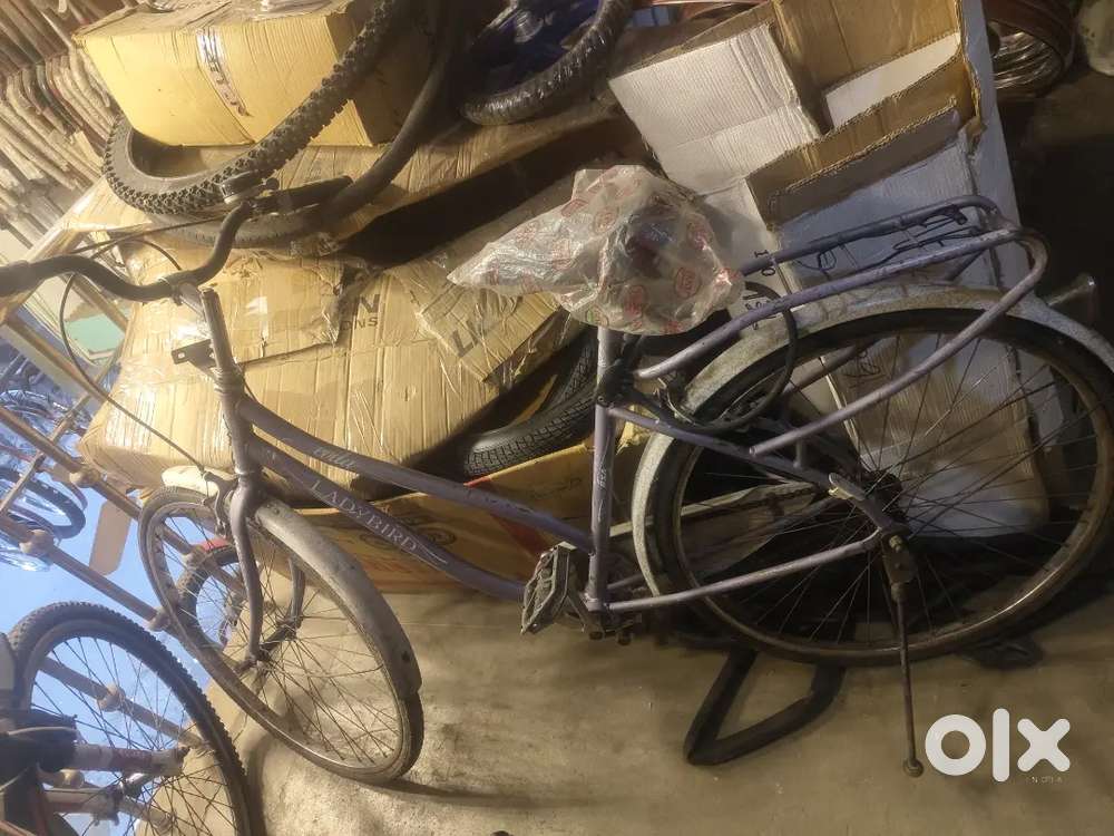 Buy Sell Second Hand Cycles in Meerut Used Cycles in Meerut OLX