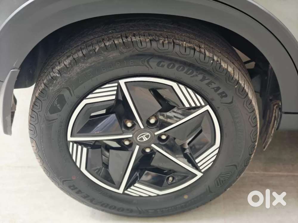 Tata Nexon Fearless 1.2 Revotron Petrol 6 Mt Dt, 2023, Petrol