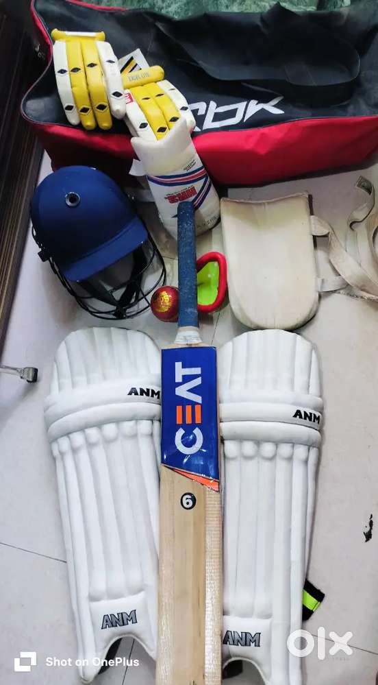 CEAT Cricket Bat with Cricket Kit