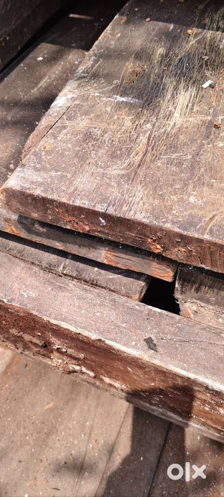 Wood for furniture