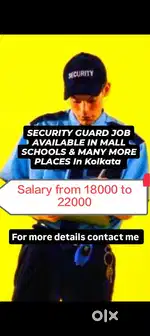 Security Guard job