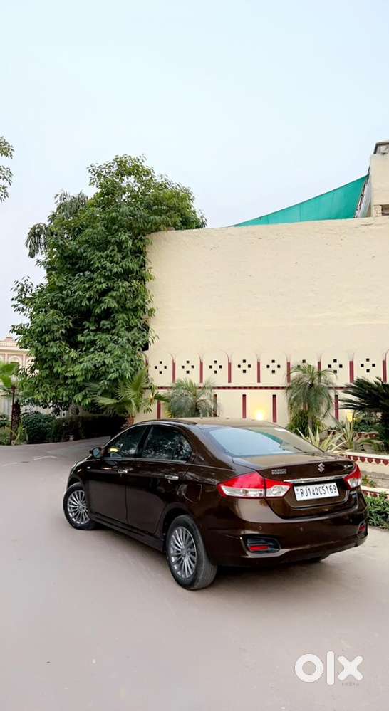 Maruti Ciaz Diesel Manual 2016
