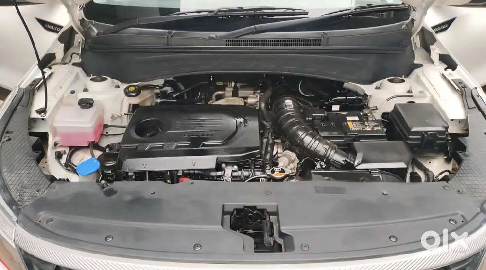 Kia Seltos 2024 Diesel 19600 Km Driven