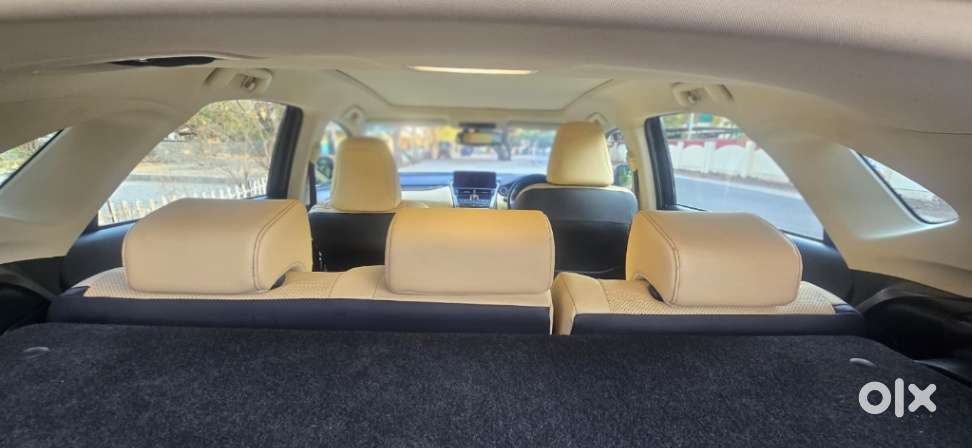Lexus Nx Lexus-nx-300h-luxury, 2019, Petrol