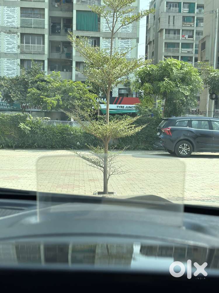 Kia Seltos Gtx Plus At D, 2022, Diesel