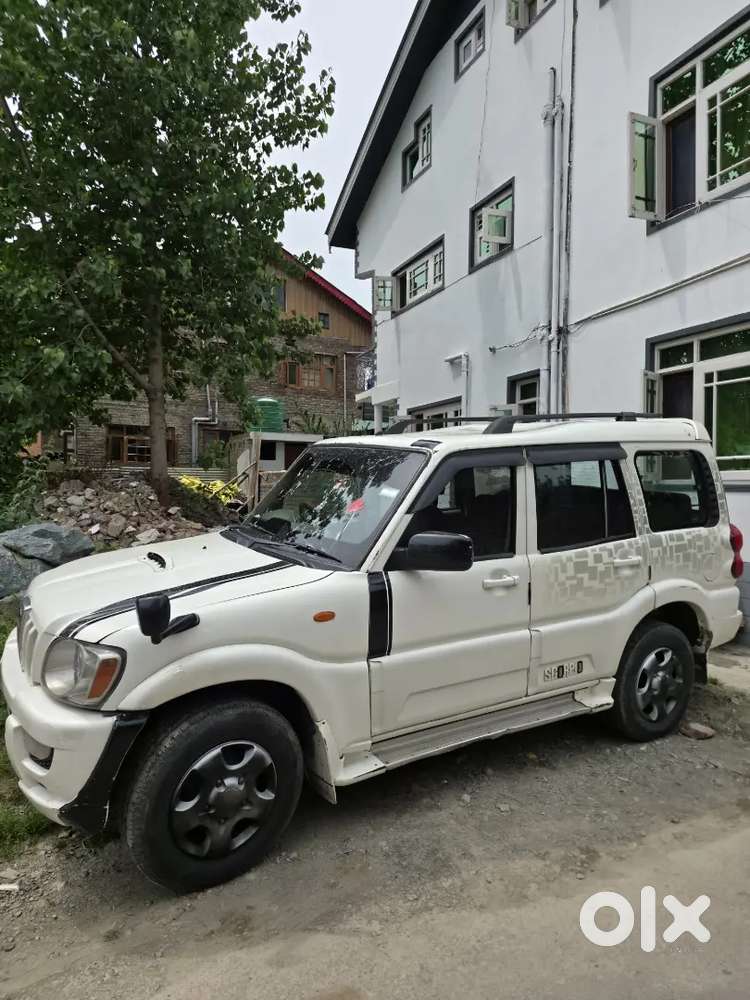 Scorpio Mhawk Talking Kashmiri Owner