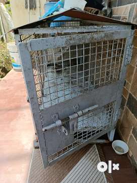 Cat Cage in Maharashtra Free classifieds in Maharashtra OLX