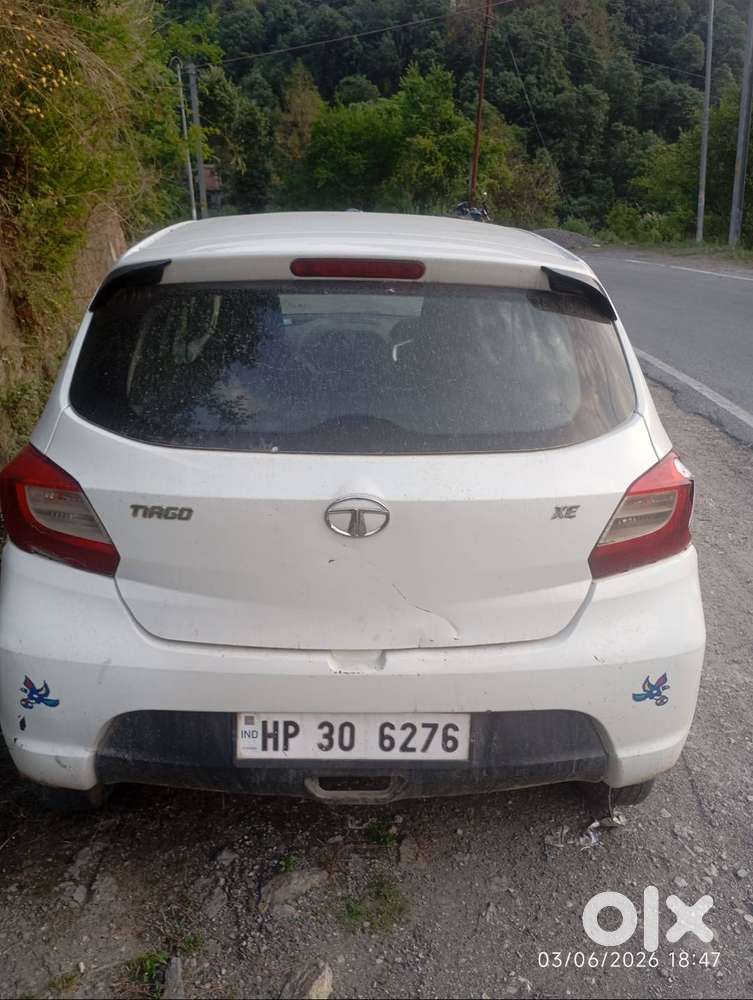 2019 Model