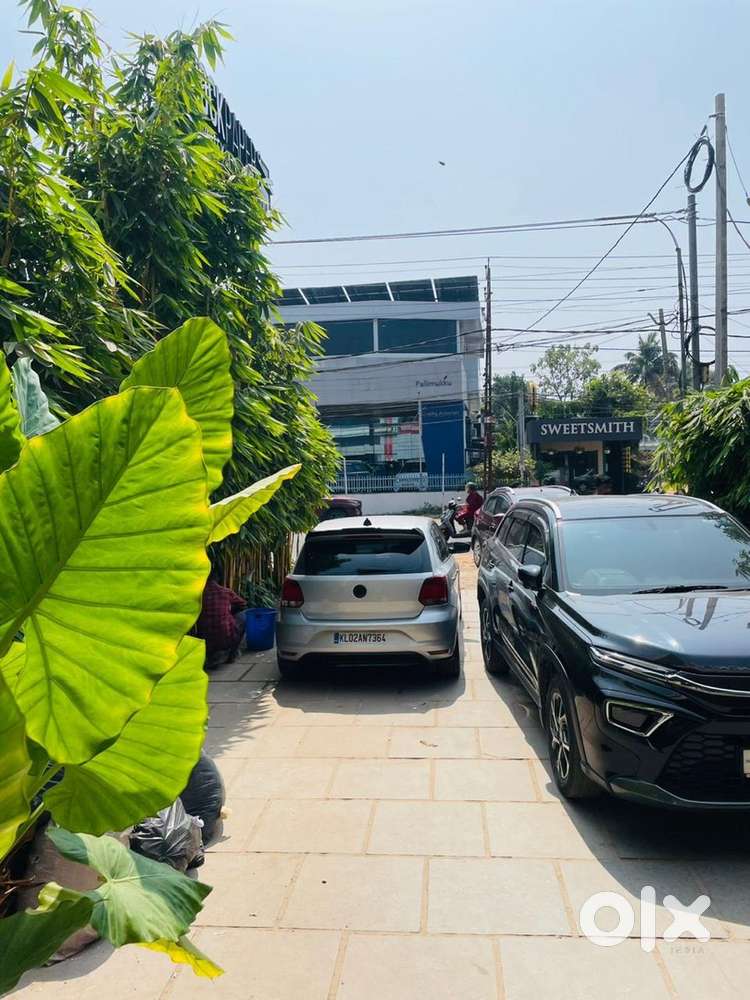 Volkswagen Polo Petrol Manual 2014