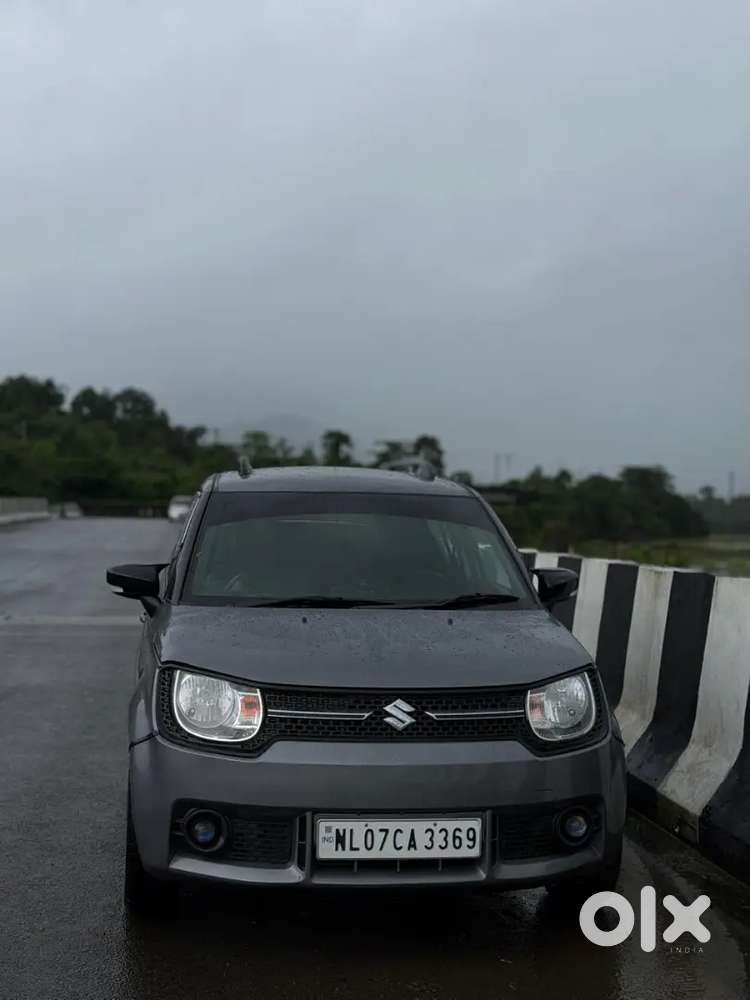 2019 Maruti Suzuki Ignis Delta