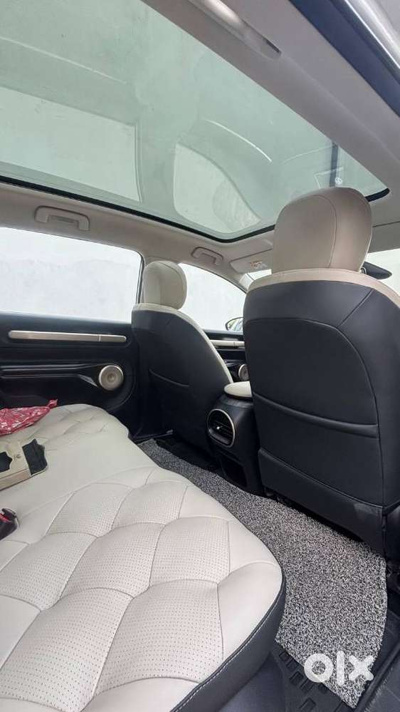 Mg Windsor Ev, 2025, Petrol