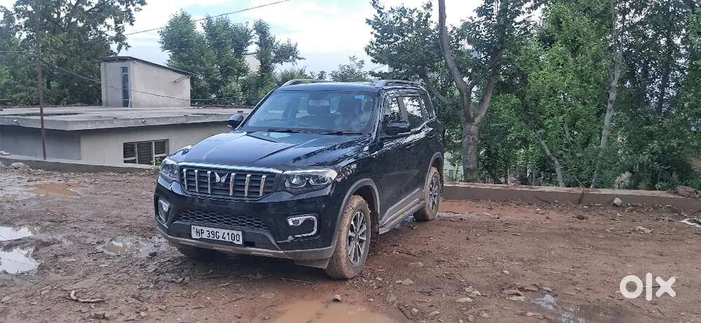 November 2025 Vehicle With Vip No.only 7 Month Old Vehicle