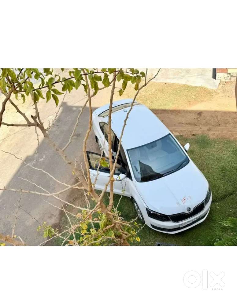Skoda Rapid 2019 Diesel Well Maintained