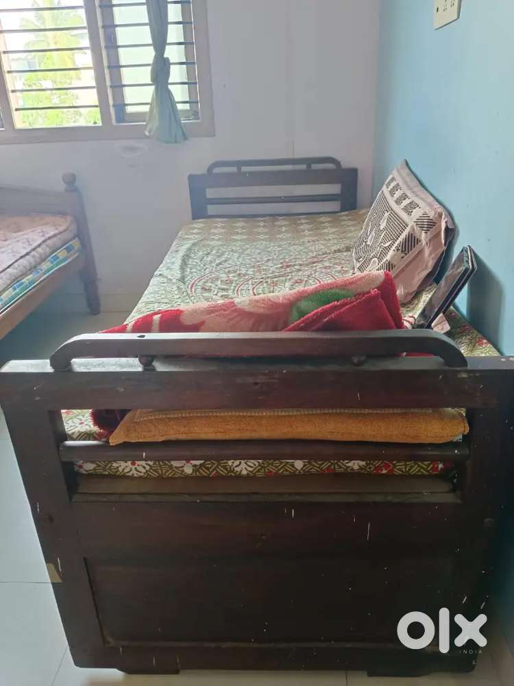 Single store cot olx