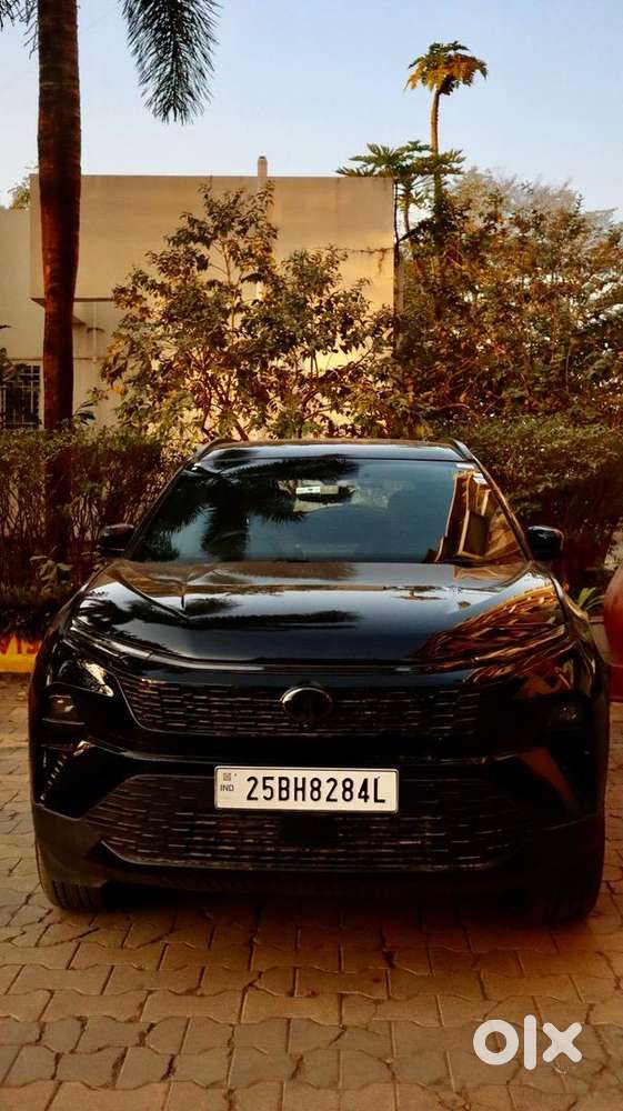 Tata Harrier 2025 Diesel Well Maintained (within 6 Month)