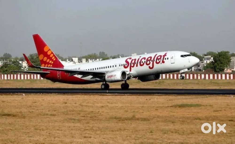 Full time jobs in IN INDIGO AIRLINES PICK an DROPPING SERVICE for