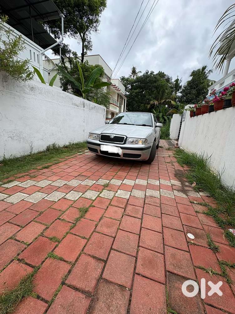 Skoda Octavia 1.9 Tdi 2004 Car
