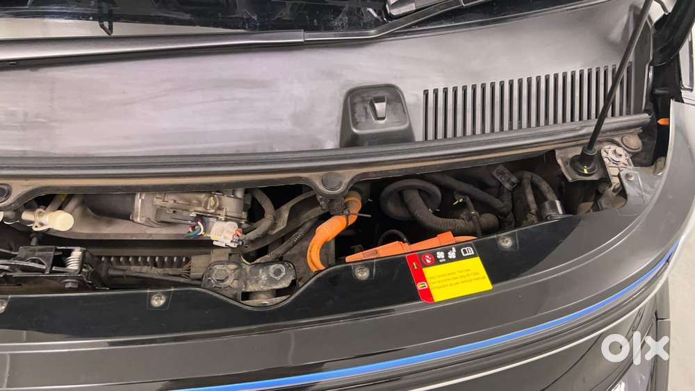 Mg Comet Ev Plush, 2024, Electric