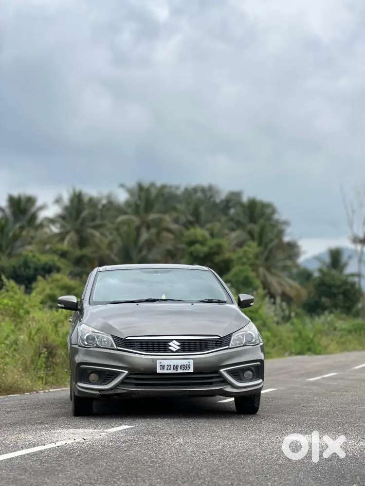 Ciaz  Maruthi Suzuki