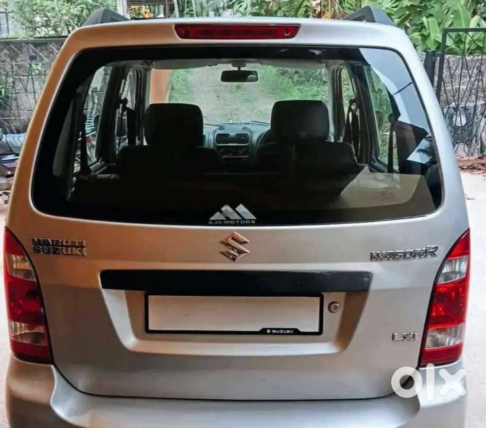 Maruti Suzuki Wagon R Petrol + Lpg Silver Colour