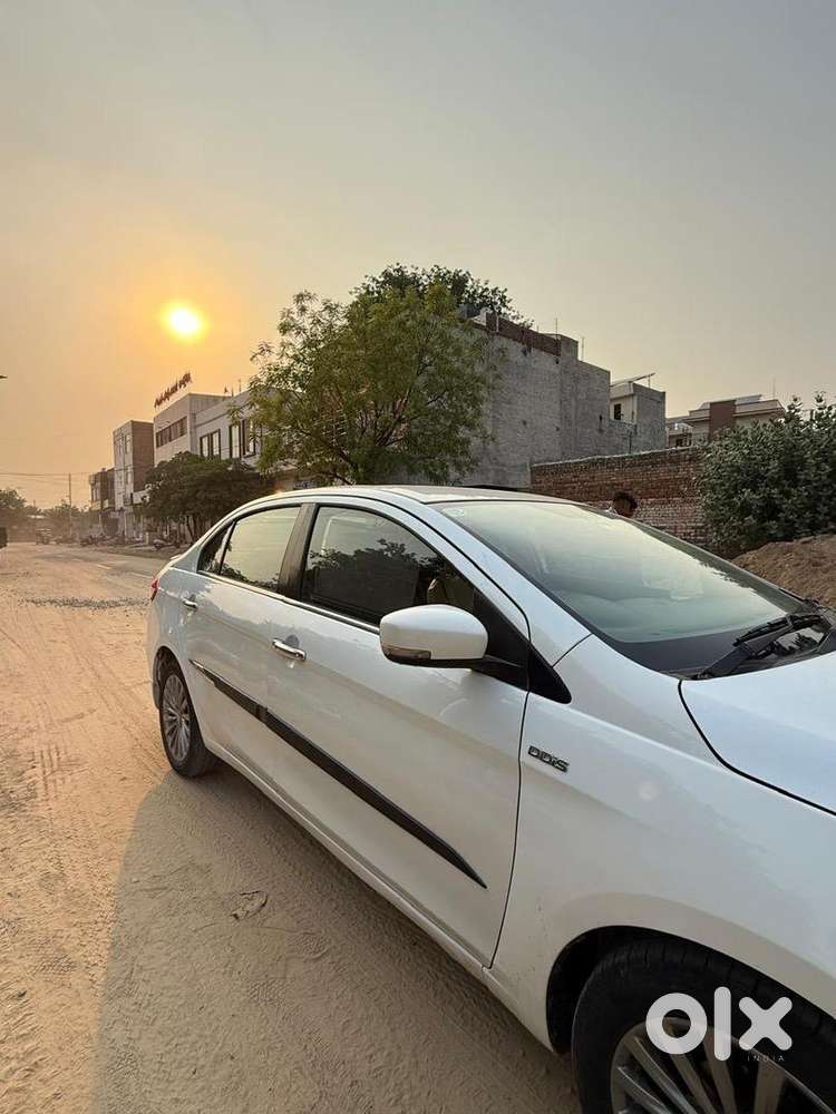 Maruti Suzuki Diesel 2017