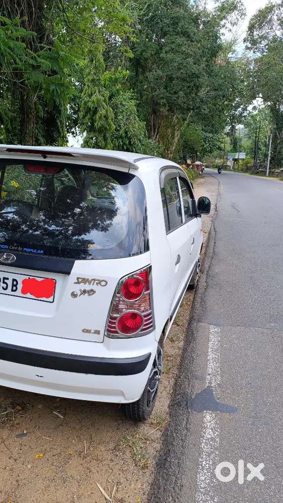 Hyundai Santro Xing 2010 Petrol