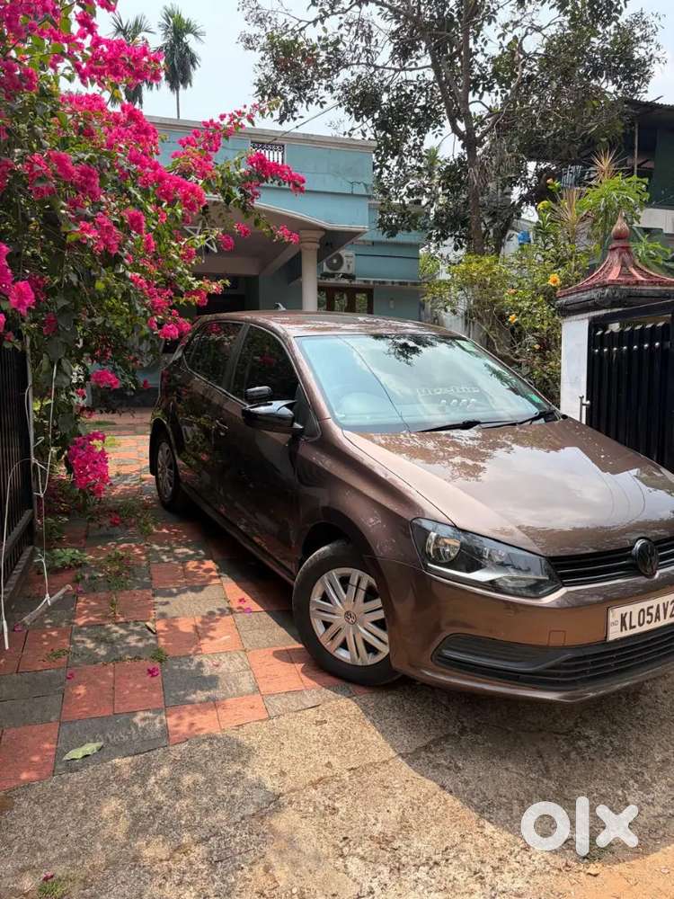 Volkswagen Polo 2019 Petrol 36000 Km Driven