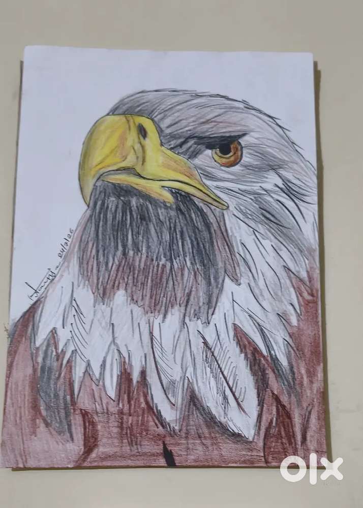 The title is drawing it is my hoobie and I am new creation of a new