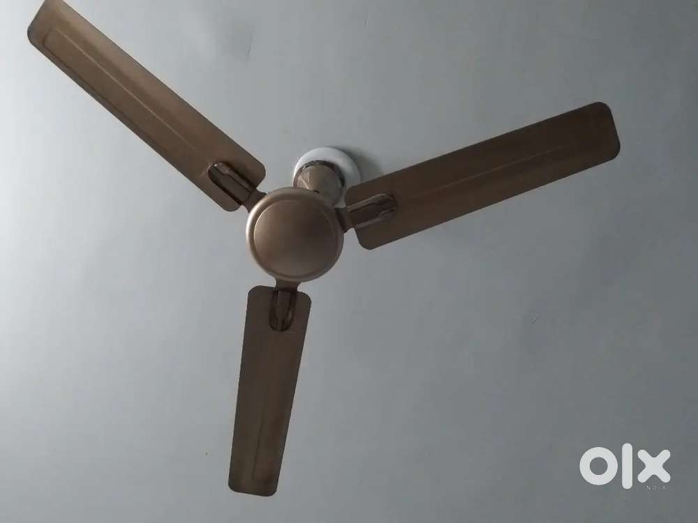 Compton company fan 3 wings