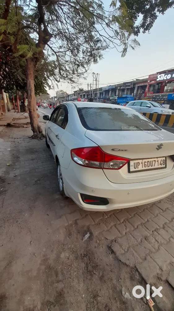 2023 Maruti Suzuki Ciaz 1st Owner