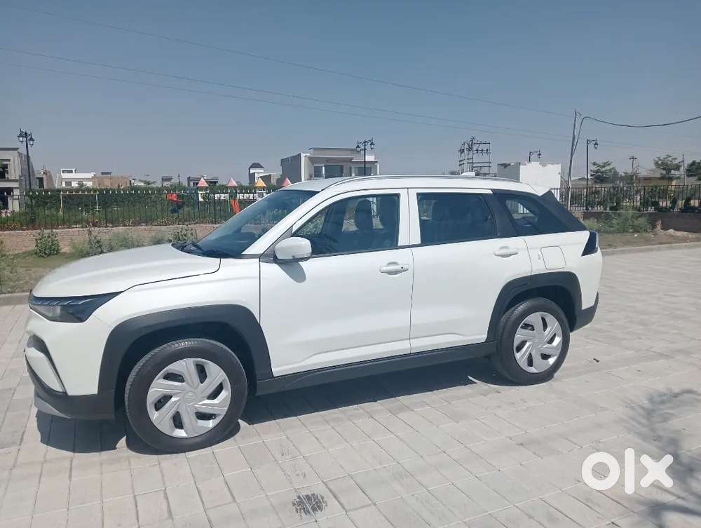 Maruti Suzuki Victoris 2025 Cng & Hybrids  Only 100 Km Driven