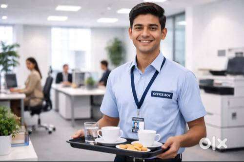 House Keeping / Dish Washer / Kitchen Cleaner - Job