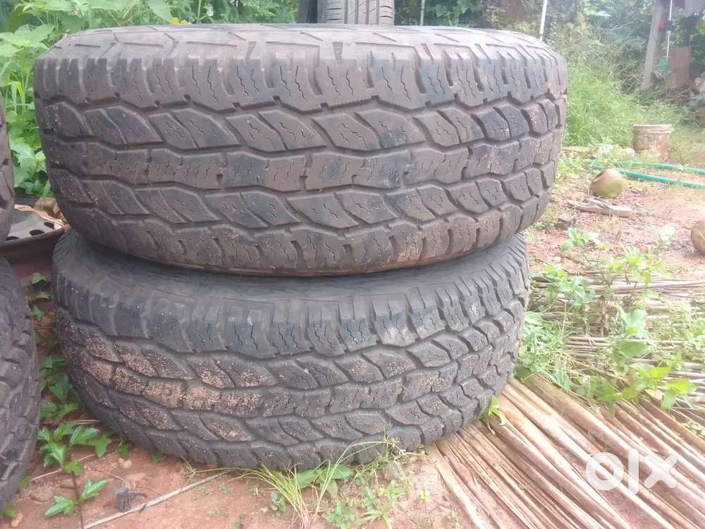 Ford Endeavour 2009 Titanium Plus
