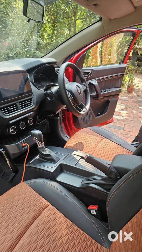 One Year Old Kiger For Sale