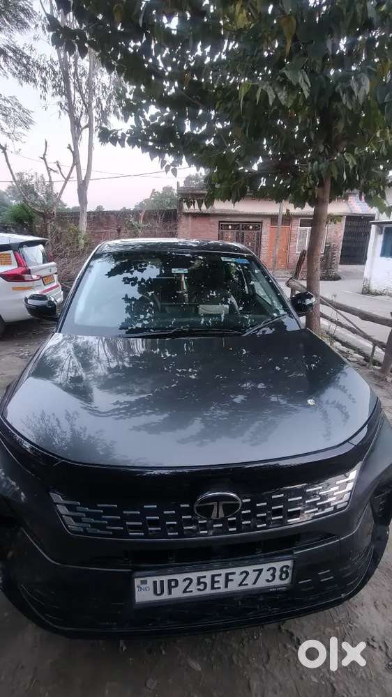Tata Curvv 11/2024 Petrol Good Condition