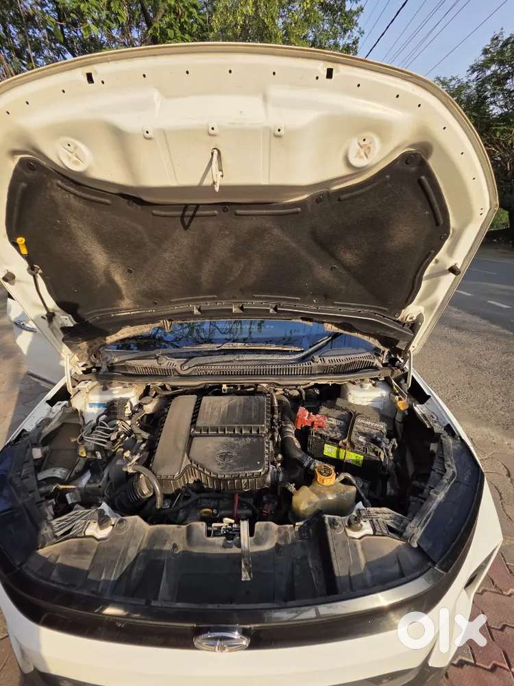 Jh09bf0588 New Nexon Diesel Mt Fir Sell At Bokaro Jharkhand