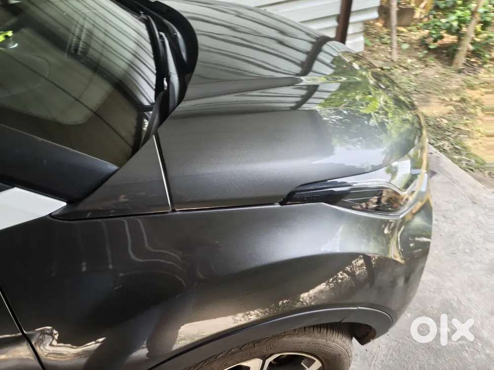 Tata Nexon 2022 Petrol 36000 Km Driven