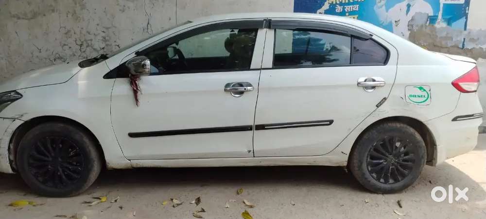 Ciaz Maruti Diesel 2014