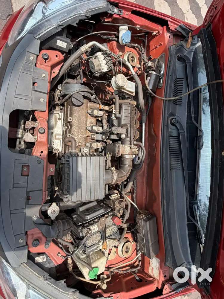 2019 Maruti Suzuki Alto