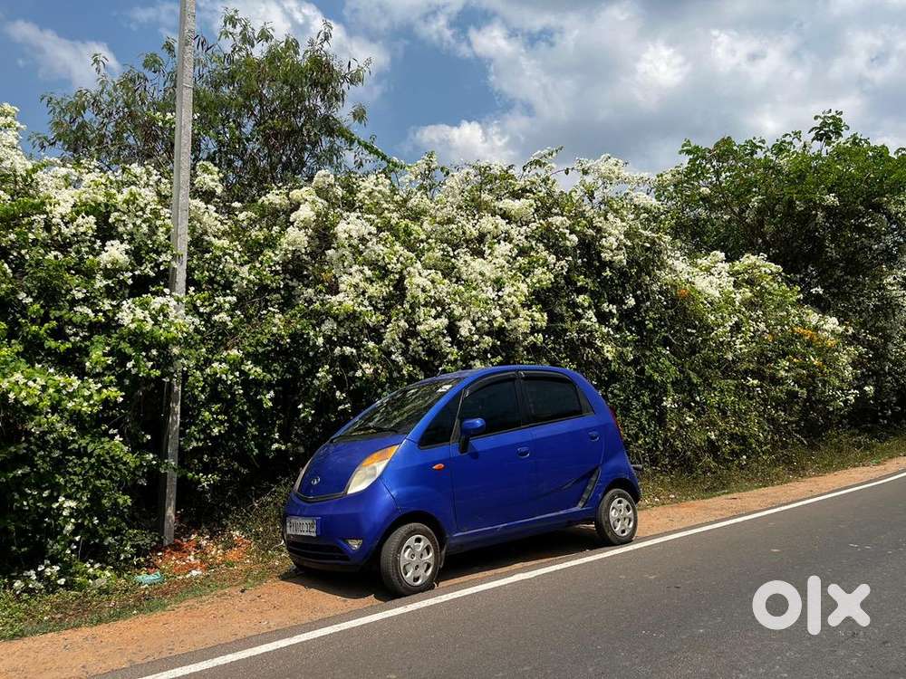 Nano 2013 Top Variant