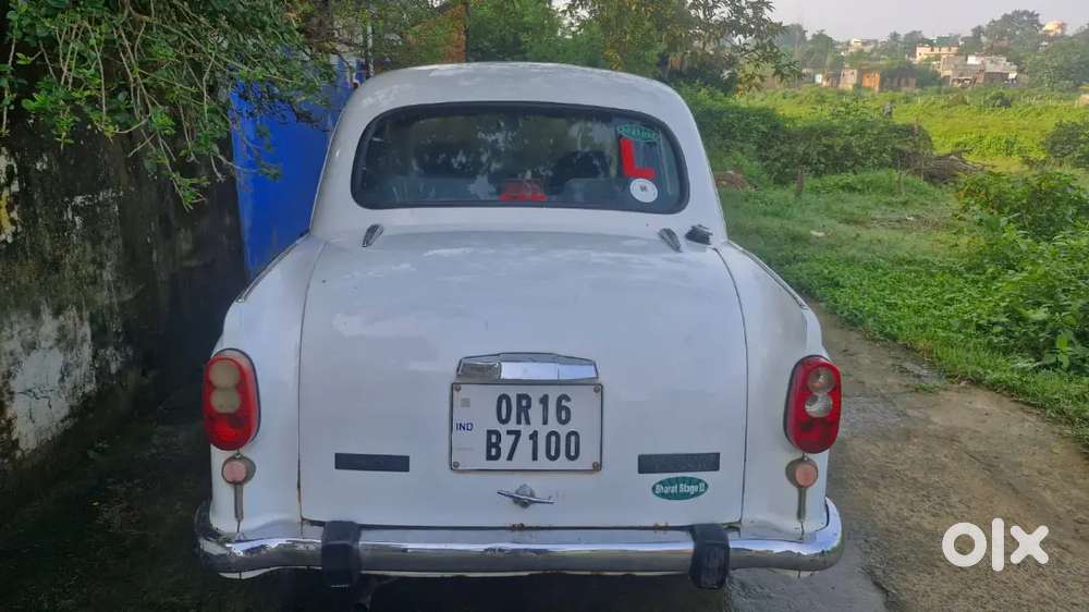 Ambassador 2007 Classic Dsz- Vintage