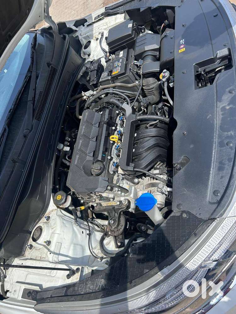 Kia Seltos 2023 Htk Petrol Mt  Like New  Single Owner  Low Driven