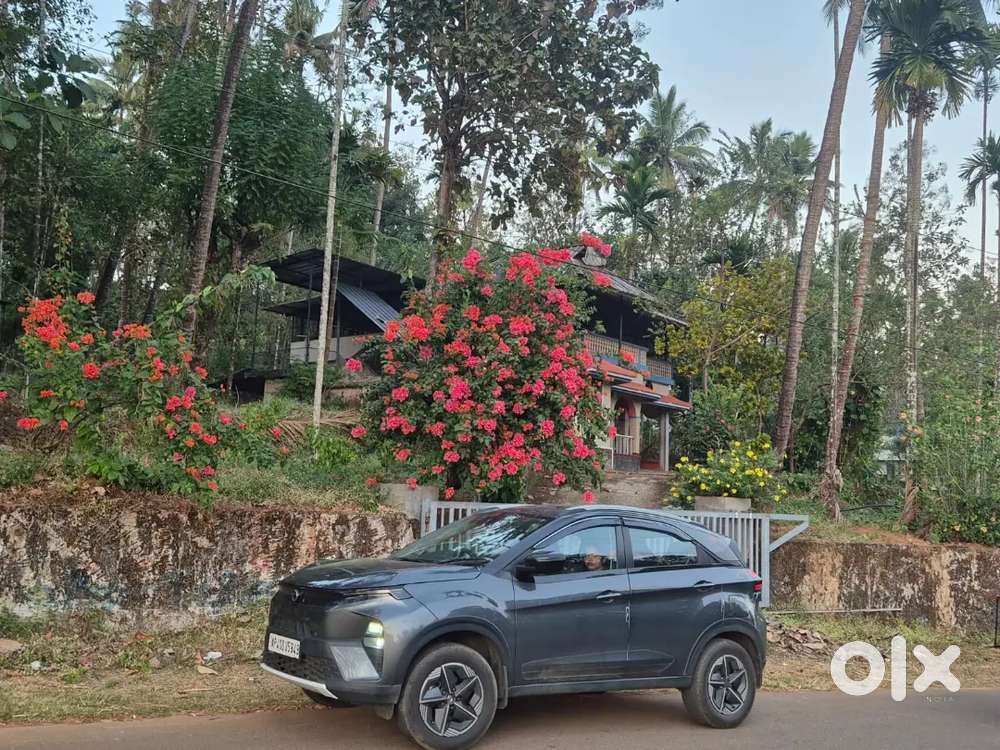 Tata Nexon 2024 Petrol 47500 Km Driven
