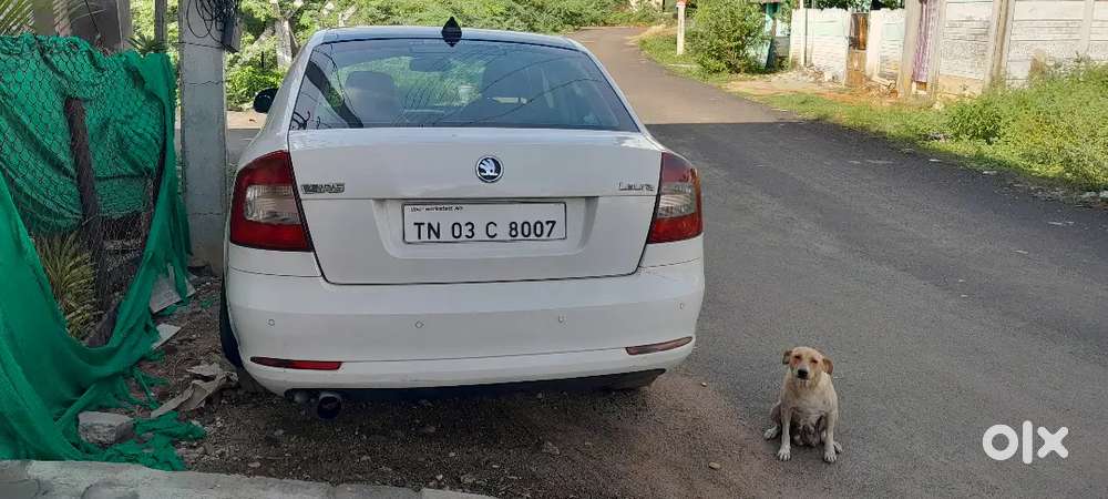 Well Maintained Skoda Laura Automatic Diesel 2010