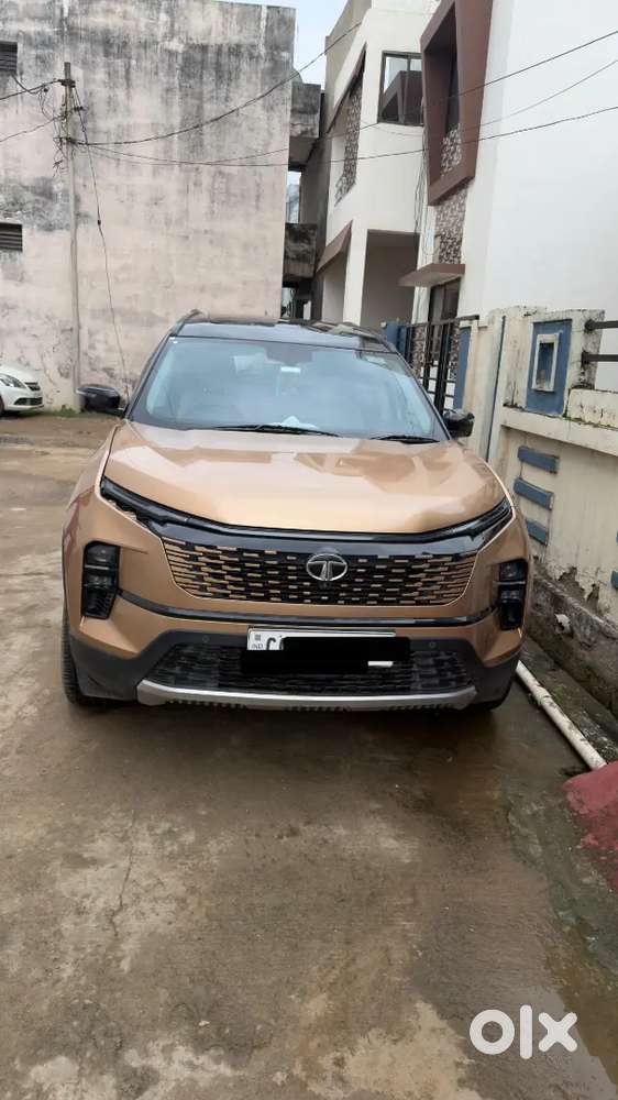 Tata Safari Accomplished Plus 2024