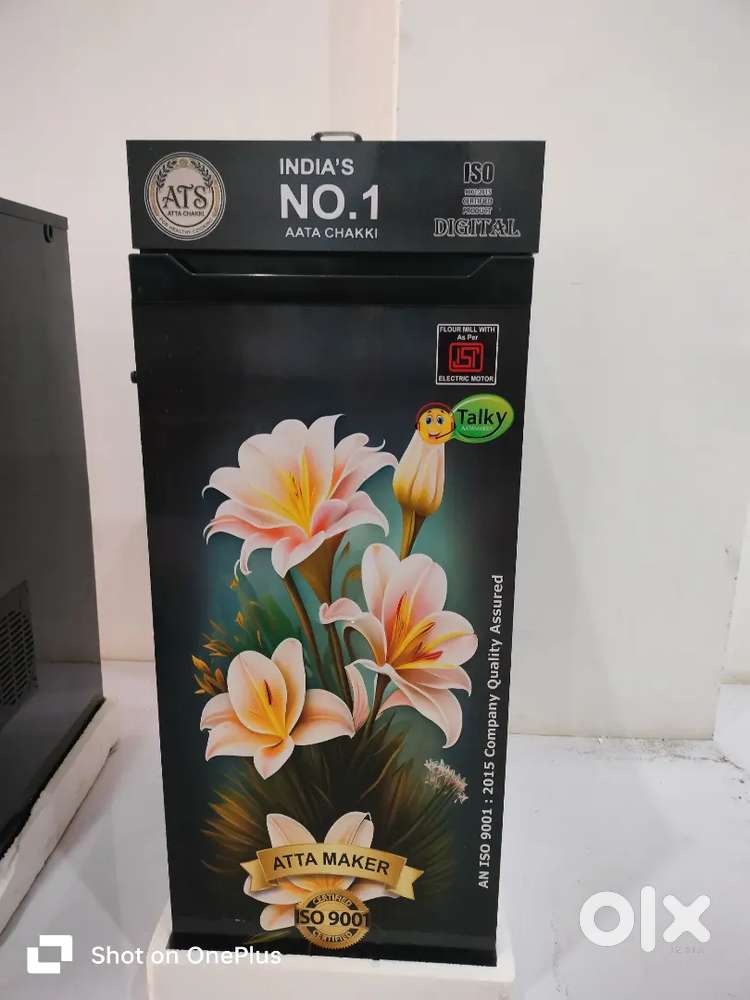 Aata chakki domestic