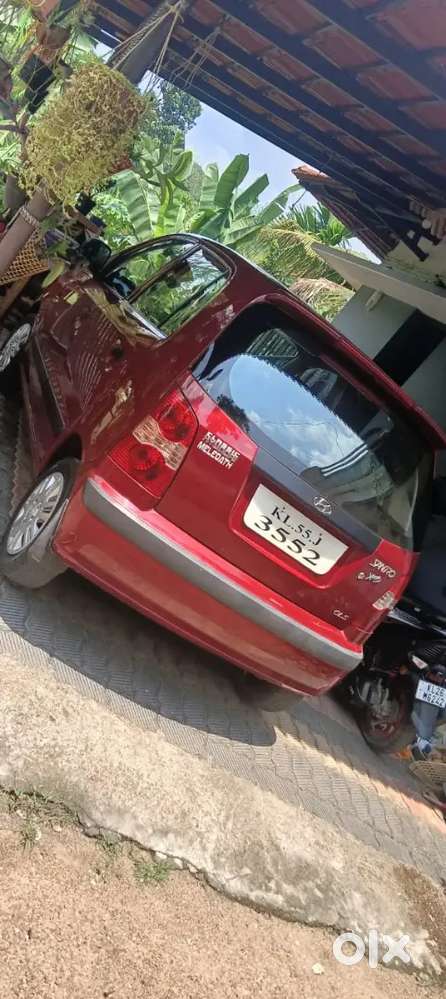 Clean And Beautiful Santro Xing