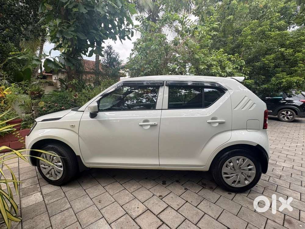 Maruti Suzuki Petrol 2024